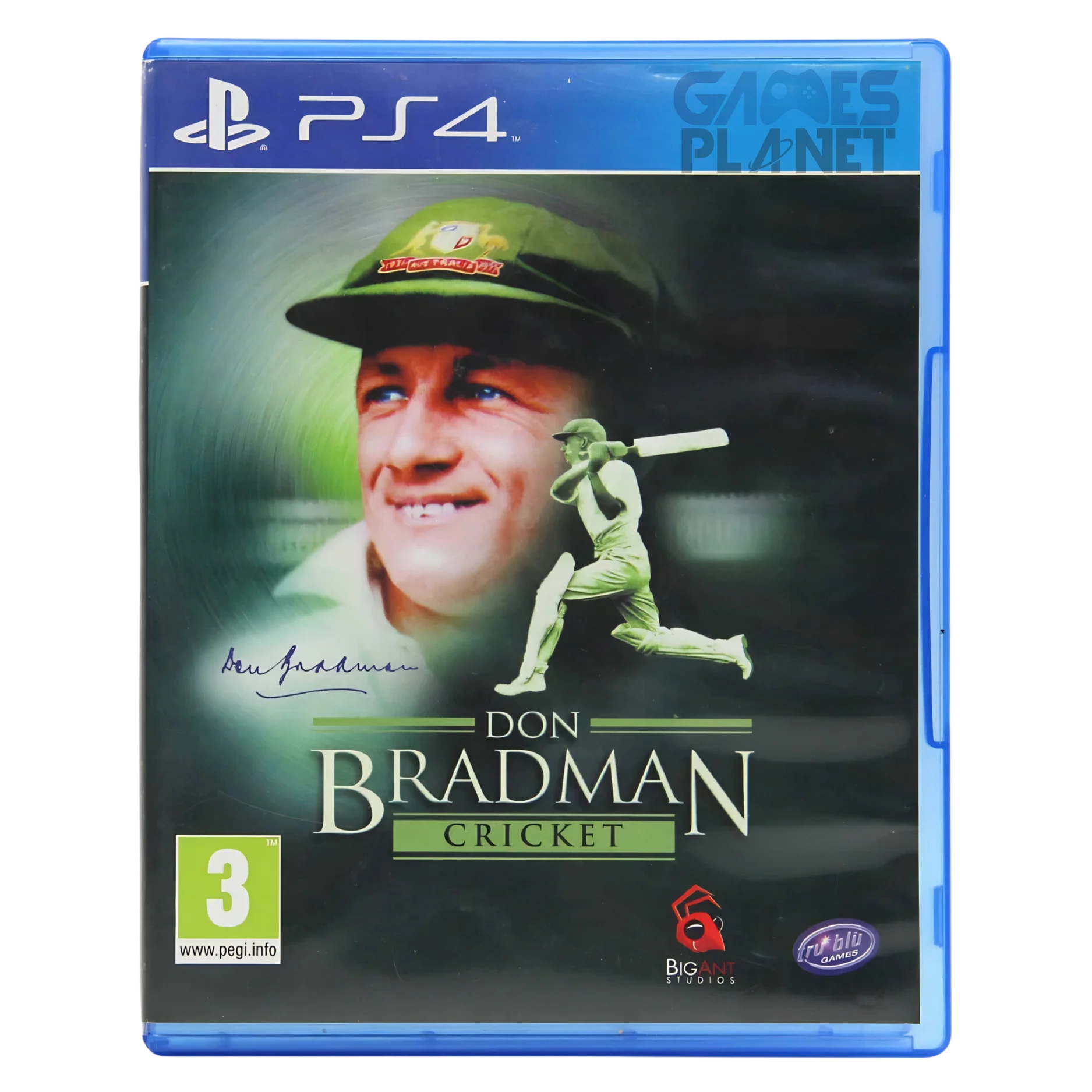 Don Bradman Cricket 14 PS4 realistic batting gameplay stadium view